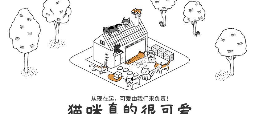 猫咪真的超可爱