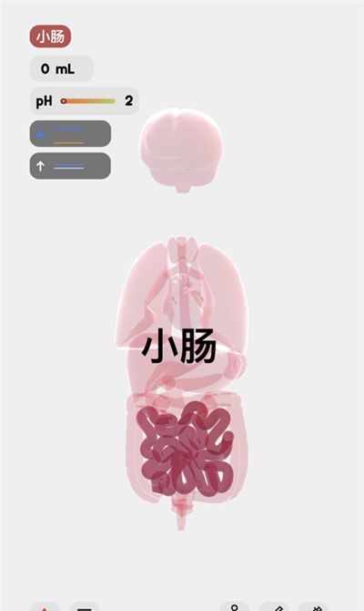 LIFE生命 安卓汉化版