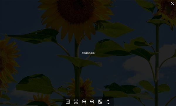 菠萝看图(Pineapple Pictures) 