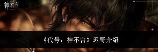 《代号：神不言》迟野介绍