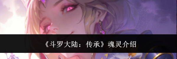 《斗罗大陆：传承》魂灵介绍