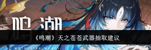 《鸣潮》天之苍苍武器抽取建议