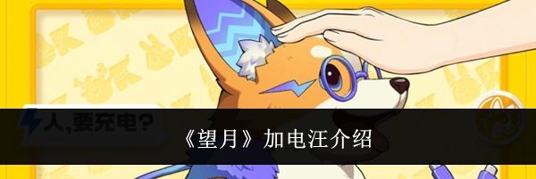 《望月》加电汪介绍