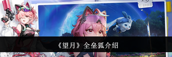 《望月》全垒狐介绍