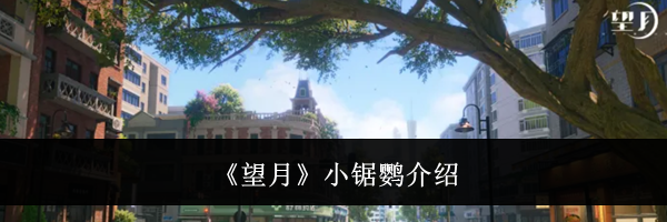 《望月》小锯鹦介绍