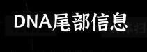 文字密室逃脱：奇幻之旅图文攻略