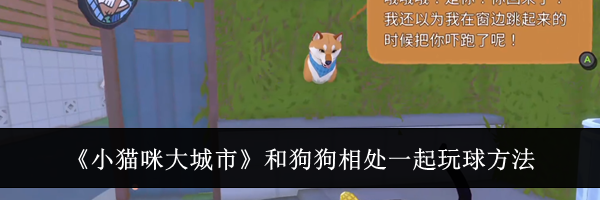 《小猫咪大城市》和狗狗相处一起玩球方法