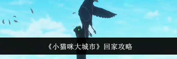 《小猫咪大城市》回家攻略