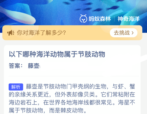 以下哪种海洋动物属于节肢动物