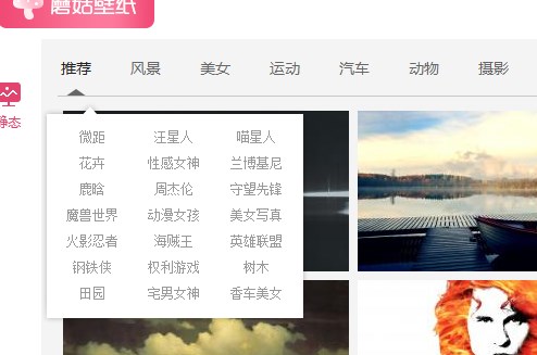 蘑菇壁纸