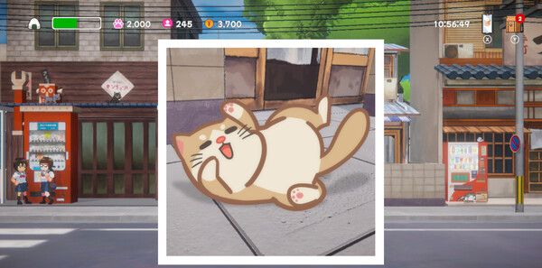 《美希与猫之岛》官方版