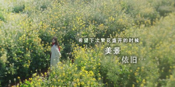 《这个是真的喜欢！》官方版