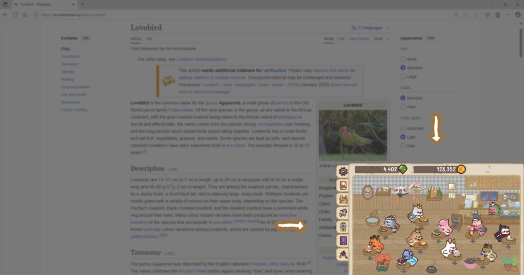 《Cafe Cafe: Idle Bird Collector》免安装版